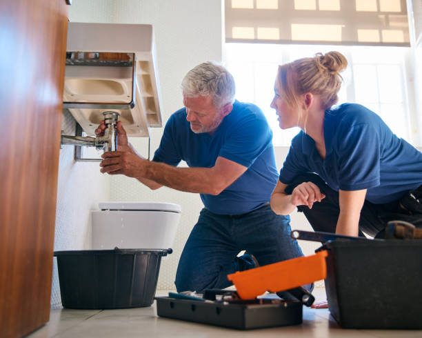 Best Leak Detection Services  in Eagle Lake, MN